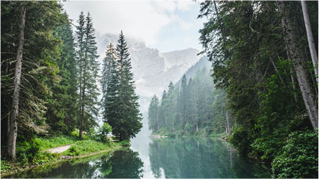 Forest and mountain lake, from ITALSEMPIONE’s parent-company profile